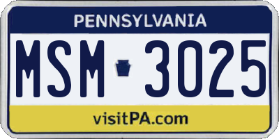 PA license plate MSM3025