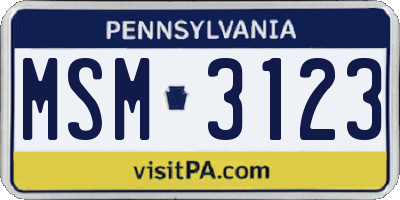 PA license plate MSM3123