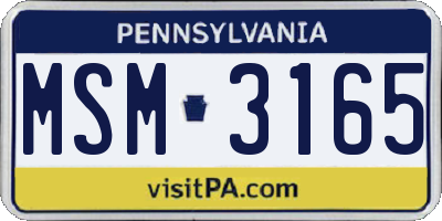 PA license plate MSM3165