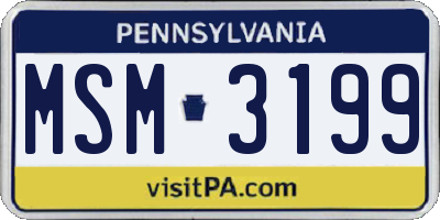 PA license plate MSM3199