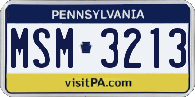 PA license plate MSM3213