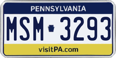 PA license plate MSM3293