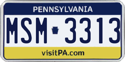 PA license plate MSM3313