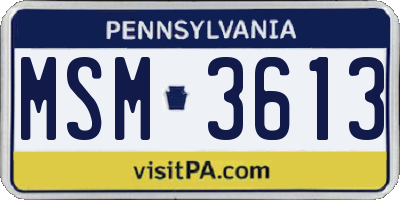 PA license plate MSM3613