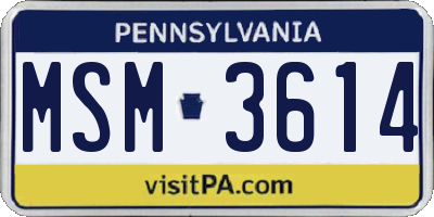 PA license plate MSM3614