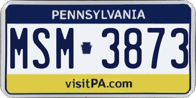 PA license plate MSM3873