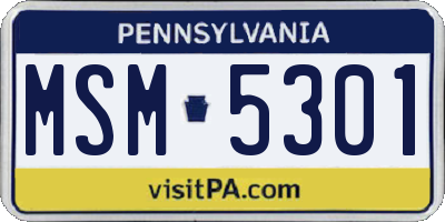 PA license plate MSM5301