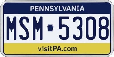 PA license plate MSM5308