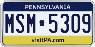 PA license plate MSM5309