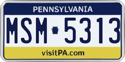 PA license plate MSM5313