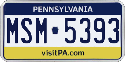 PA license plate MSM5393