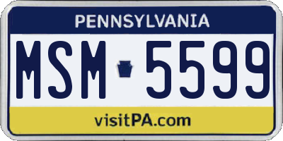 PA license plate MSM5599