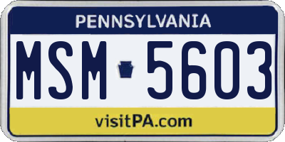 PA license plate MSM5603