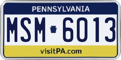 PA license plate MSM6013