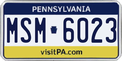 PA license plate MSM6023