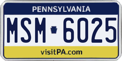 PA license plate MSM6025