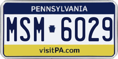 PA license plate MSM6029