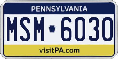 PA license plate MSM6030