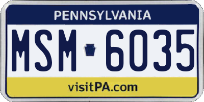 PA license plate MSM6035