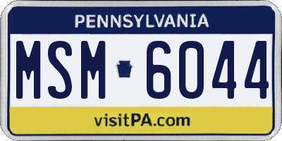 PA license plate MSM6044
