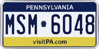 PA license plate MSM6048