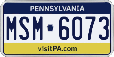 PA license plate MSM6073