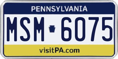 PA license plate MSM6075