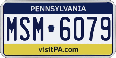 PA license plate MSM6079