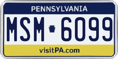 PA license plate MSM6099