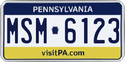 PA license plate MSM6123