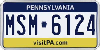 PA license plate MSM6124