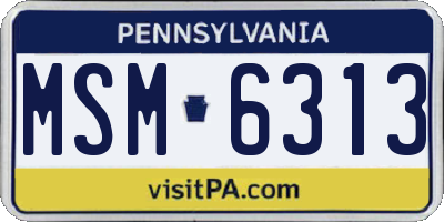 PA license plate MSM6313