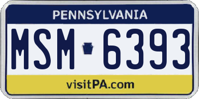 PA license plate MSM6393