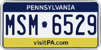 PA license plate MSM6529