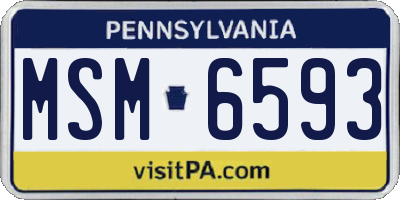 PA license plate MSM6593