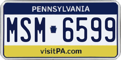 PA license plate MSM6599