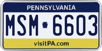PA license plate MSM6603