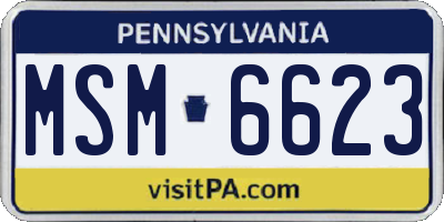 PA license plate MSM6623