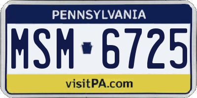 PA license plate MSM6725