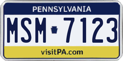 PA license plate MSM7123