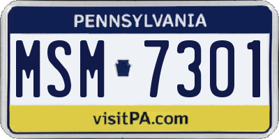 PA license plate MSM7301