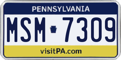 PA license plate MSM7309