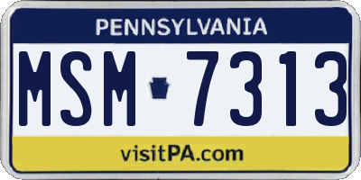 PA license plate MSM7313