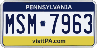 PA license plate MSM7963