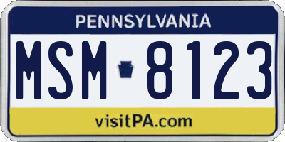 PA license plate MSM8123