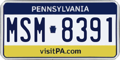 PA license plate MSM8391
