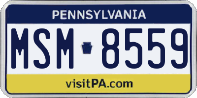 PA license plate MSM8559