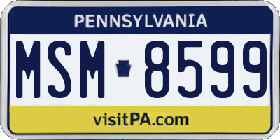 PA license plate MSM8599