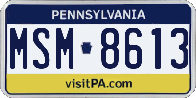 PA license plate MSM8613