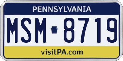 PA license plate MSM8719